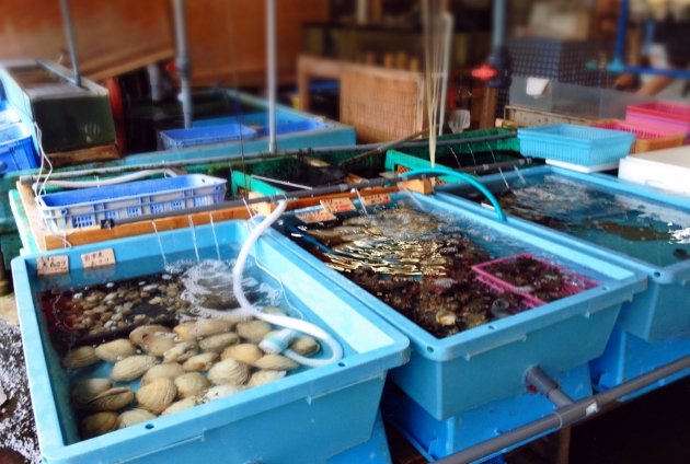 瀬戸内の新鮮な魚介